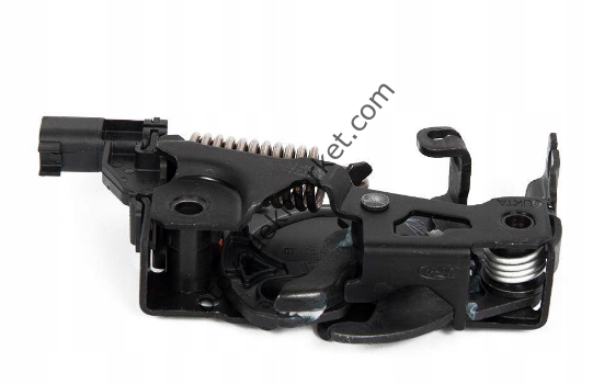 Ford Focus (2019-2023) Motor Kaput Kilidi (Otosan)