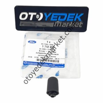 Ford Focus (2019-2023) Motor Kaput Dayama Takozu (Otosan)