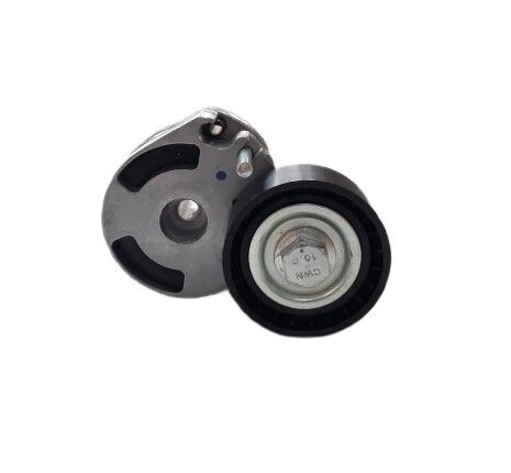 Citroen Nemo 1.4 Hdi (2008-2013) Alternatör Gergi Rulmanı - Kütüklü (Aba)