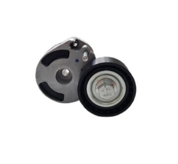 Citroen Nemo 1.4 Hdi (2008-2013) Alternatör Gergi Rulmanı - Kütüklü (Aba)