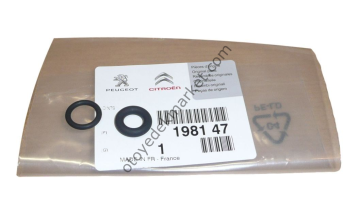 Peugeot 407 (2004-2011)  2.0 Benzinli Enjektör Contası 2'li Set (Orijinal)