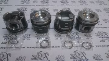 PEUGEOT 3008 2011-2015 1,6 HDI PİSTON SEKMAN TAKIMI