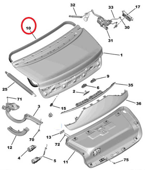 DS9 (2020-2025) Bagaj Lastiği (Orijinal)