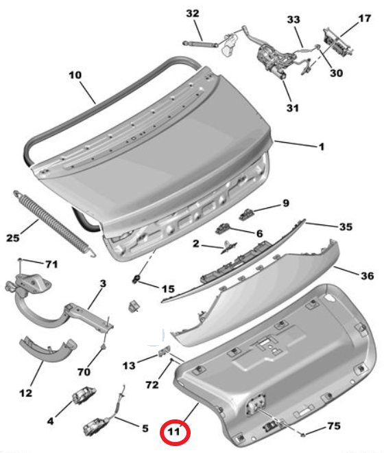 DS9 (2020-2025) Bagaj Kapağı Kaplaması (Orijinal)