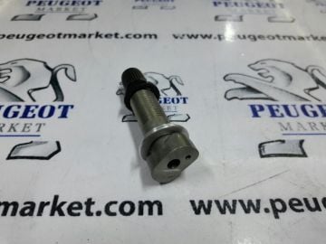 Peugeot 308 (2007-2013) LASTİK BASINÇ SENSÖR UCU