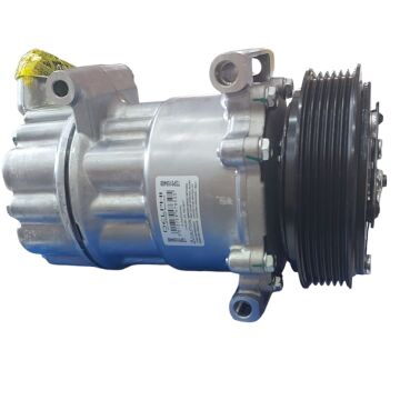 Peugeot 307 (2001-2008) Klima Kompresörü (Delphi)