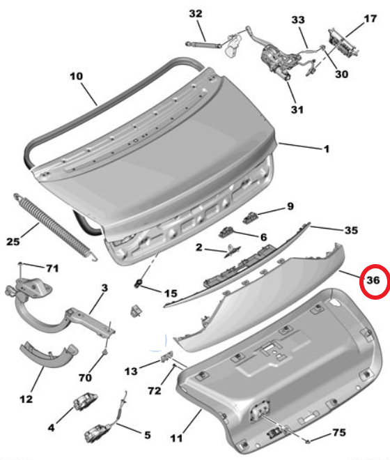 DS9 (2020-2025) Bagaj Kapağı Bakaliti (Orijinal)