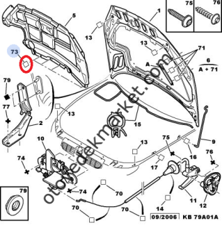Citroen C4 Motor Kaput Keçe Klipsi (Orijinal)