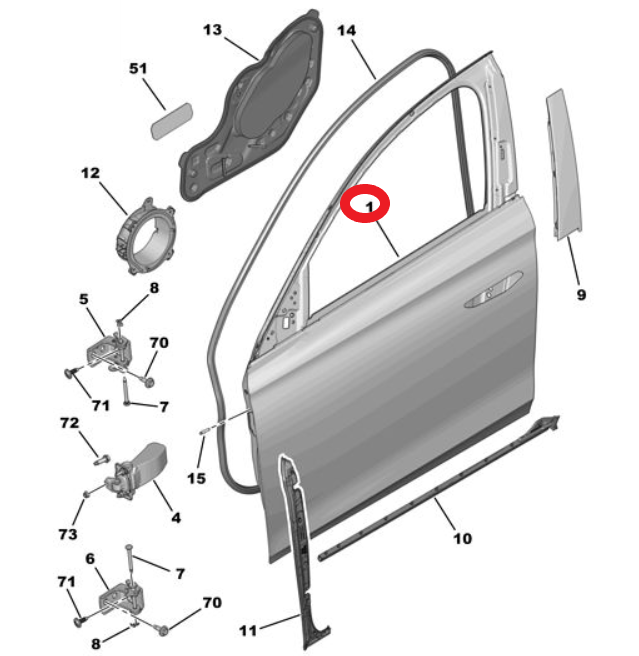 DS9 (2020-2025) Sağ Ön Kapı (Orijinal)