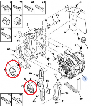 Peugeot Partner (2003-2008) 2.0-1.9 Hdi Alternatör Rulmanı (Ara)