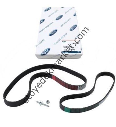 Ford Fiesta (2002-2007) V Kayış Kit (Fomoco)