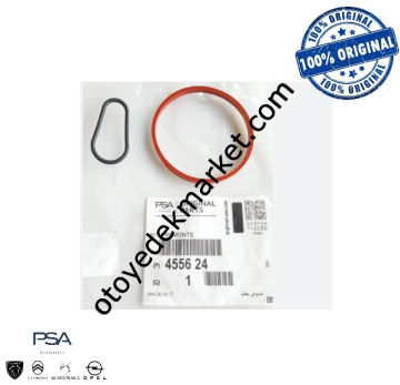 Peugeot 5008 (2009-2016) Vakum Pompa Contaları (Orijinal)