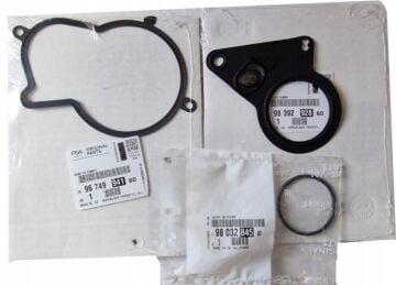 Citroen Jumper (2020-2023) 2.2 Hdi Yüksek Basınç Mazot  / Yakıt Pompa Conta Seti (Orijinal)