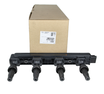 Citroen C3 III (2017 ve Sonrası) 1.6 Vti Ateşleme Bobini (Orijinal)