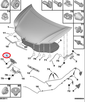 Citroen C4 (2004-2011)  Motor Kaput Kilidi (Orijinal)