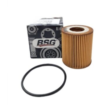 DS7 (2018-2025) 1.5 Hdi Yağ Filtresi (Bsg)
