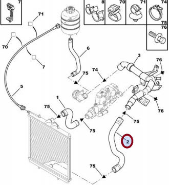 PEUGEOT 206 BENZİNLİ RADYATÖR ALT HORTUMU (RAPRO)