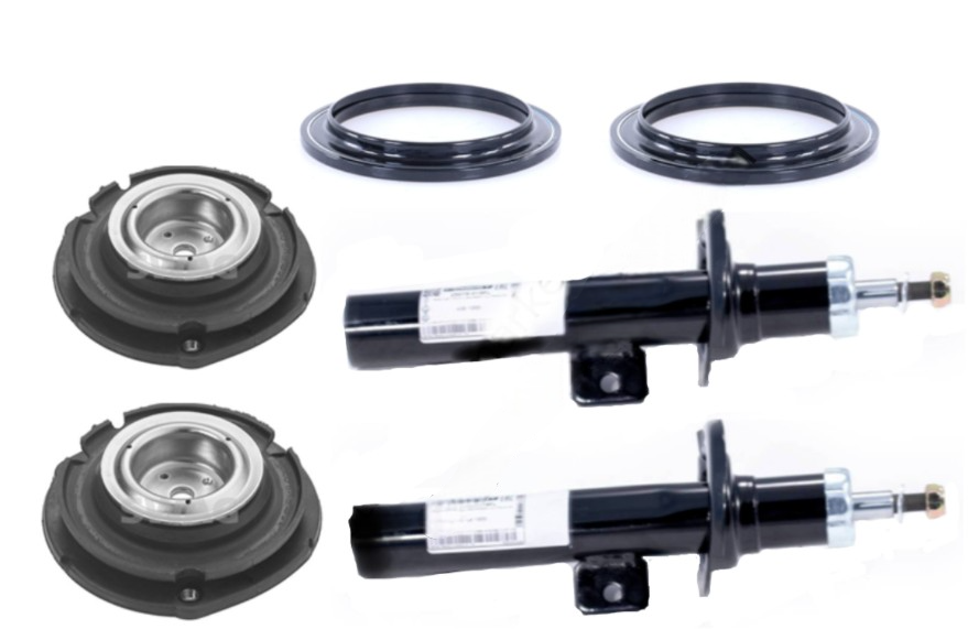 Peugeot 406 (1996-2004) Ön Amortisör Seti (İthal)