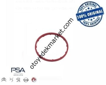 Ford Fiesta (2002-2007) 1.4 Tdci Keçe Vakum Pompası Büyük (Orijinal)