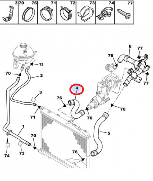 PEUGEOT 307 BENZİNLİ RADYATÖR ÜST HORTUMU (İTHAL)