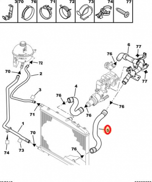 Peugeot 307 (2001-2008) 1.6 Benzinli Radyatör Alt Hortumu (İthal)
