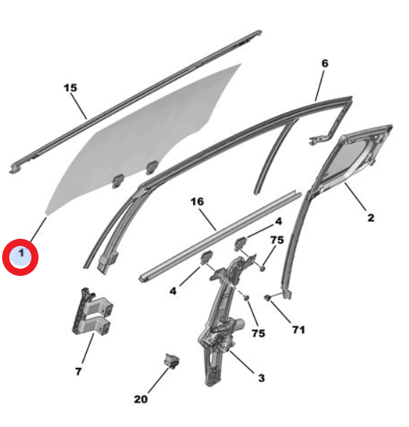 DS9 (2020-2025) Sol Arka Kapı Camı (Orijinal)