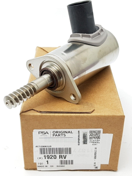 Citroen DS5 (2011-2017) 1.6 Benzinli Eksantrik Aksiyoneri Valvetronic Motoru (Orijinal)
