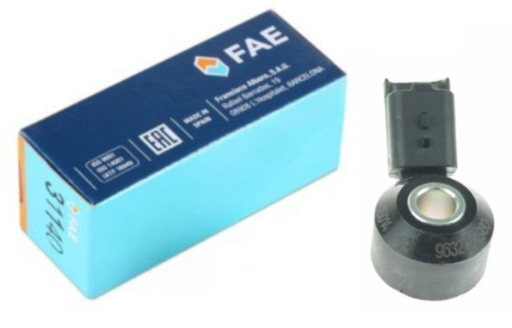 C4 (2021-2025) 1.2 Turbo Benzinli Vuruntu Sensörü (Fae)