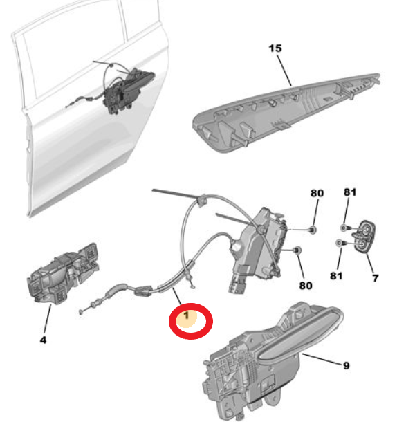 DS9 (2020-2025) Sol Arka Kapı Kilidi (Orijinal)
