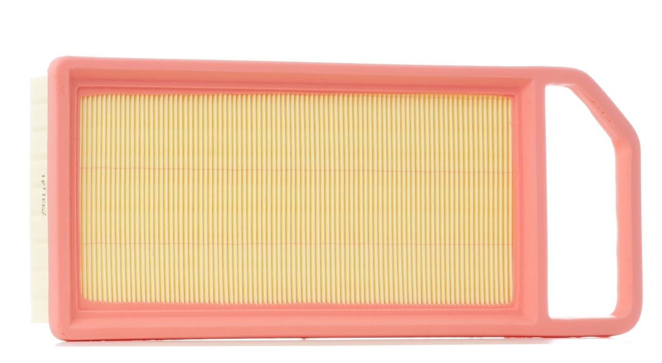 Citroen C5 (2005-2015 ) 2.0 Benzinli Hava Filtresi (Filtron)