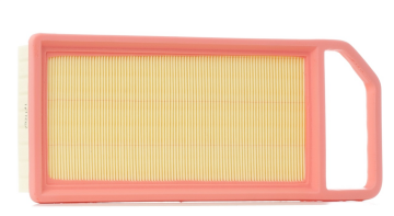 Citroen C5 (2005-2015 ) 2.0 Benzinli Hava Filtresi (Filtron)