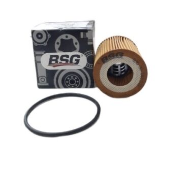 Peuıgeot 2008 (2020-2024) 1.5 Hdi Yağ Filtresi (Bsg)