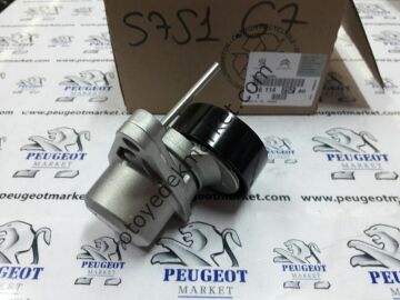 PEUGEOT 307 1,6 BENZİNLİ ALTERNATÖR RULMANI (ORİJİNAL)
