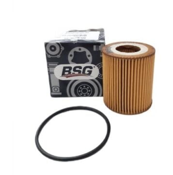 Peuıgeot Expert (2018-2024) 1.5 Hdi Yağ Filtresi (Bsg)