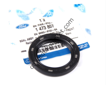 Ford Focus (1998-2004) Eksantrik Keçe Ön 100 Ps (Fomoco)