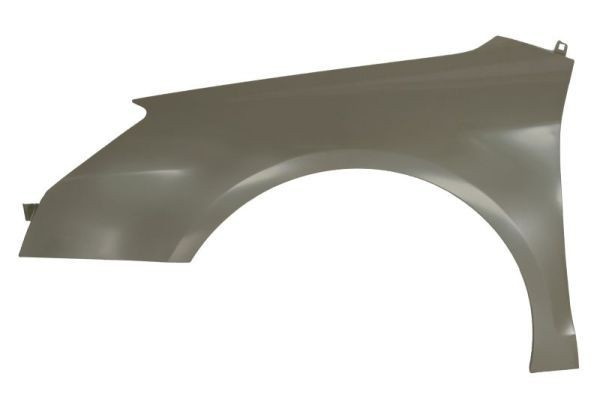 CİTROEN C5 (2008-2013) SOL ÖN ÇAMURLUK (İTHAL)