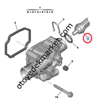 Citroen C4 (2004-2011) 1.6 16V ve 1.4 16V Benzinli Hararet Müşürü Yeşil (Delphi)