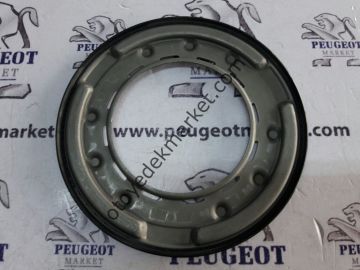 PEUGEOT 307 OTOM.VİTES BALATA KAPAĞI
