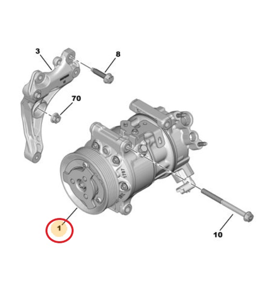 DS9 (2020-2026) Klima Kompresörü (Orijinal)