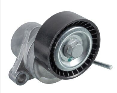 Citroen C3 (2004-2012) 1.4 Benzinli Alternatör Gergi Rulmanı (Gates)