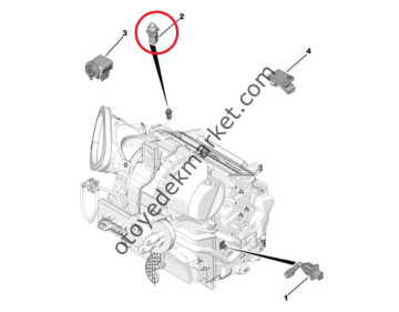 Opel Corsa (2020-2024) Güneş Işığı Kaptörü (Orijinal)