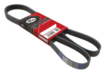 Citroen C4 ve C4 X (2022-2026) 1.5 Blue Hdi Alternatör Kayışı (Gates)