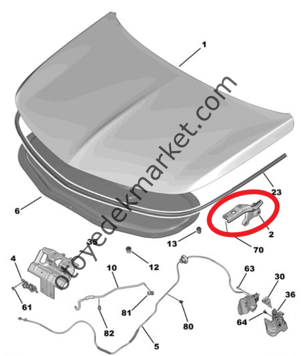 Opel Astra (2022-2024) Motor Kaputu Sol Menteşesi (Orijinal)