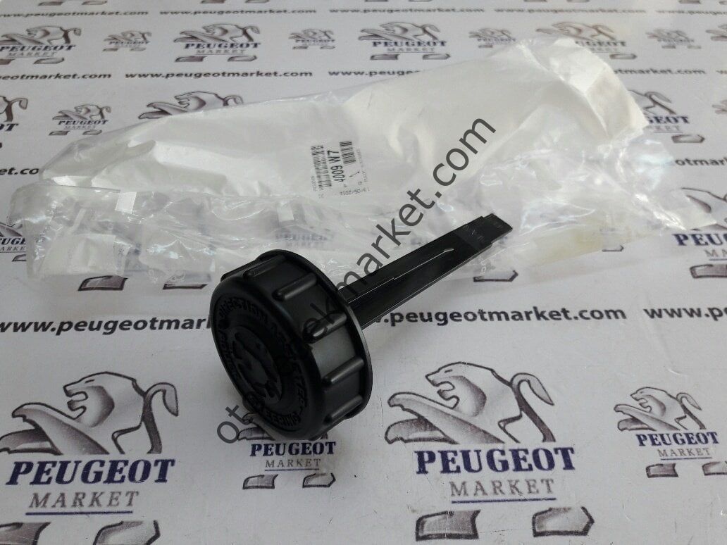 PEUGEOT 307 DİREKSİYON POMPA KAPAĞI