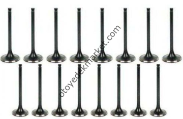 Citroen C4 (2001-2009) 1,6 Benzinli Subap Takımı (Supsan)