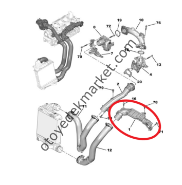 Peugeot Expert (2018-2024) 1.5 Blue Hdi Turbo Hava Hortumu / Hava Rakor Borusu (Orijinal)