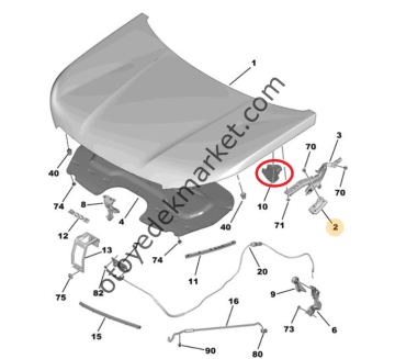 Peugeot 2008 (2020-2023) Motor Kaput Alt Destek Lastiği, Sağ (Orijinal)