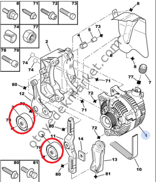Citroen Berlingo (2003-2008) 2.0 Hdi Alternatör Rulmanı (Ara)