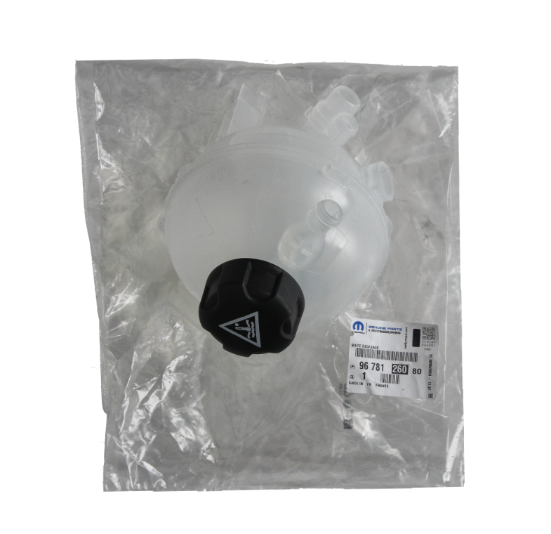 DS9 (2020-2025) 1.6 Turbo Benzinli Yedek Su Deposu (Orijinal)