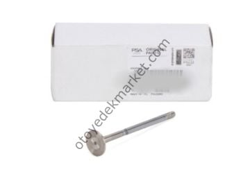 Citroen Berlingo (2018-2025) 1.5 BlueHdi Egzoz Subapı (Orijinal)